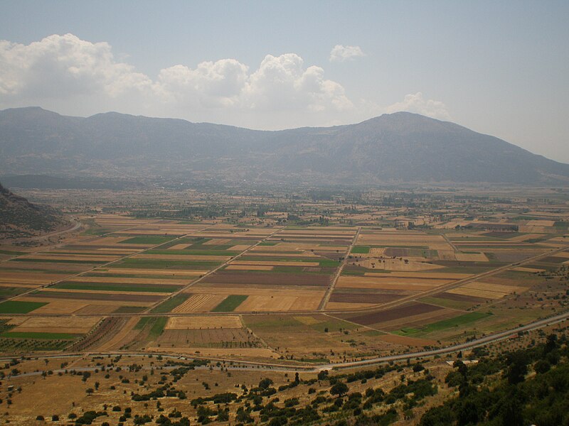 forumsahili403.jpg